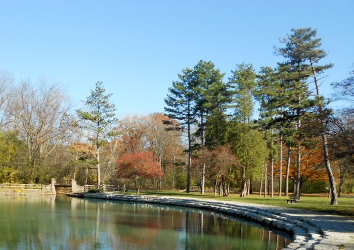 Beautiful sunny day by a pond