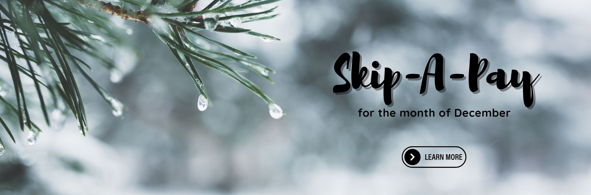 Skip a Pay for the month of December