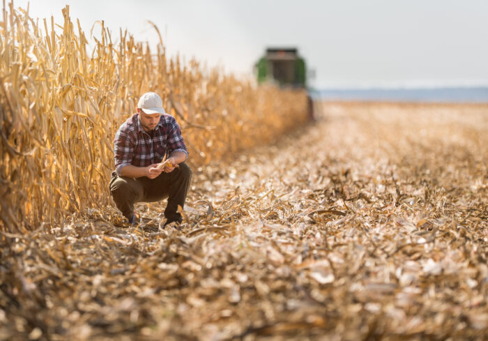 Young male farmer squatting in a recently tilled row of corn. Large tractor in the background.