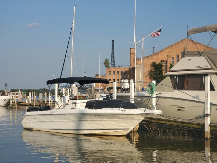 The Sea Ray Boat